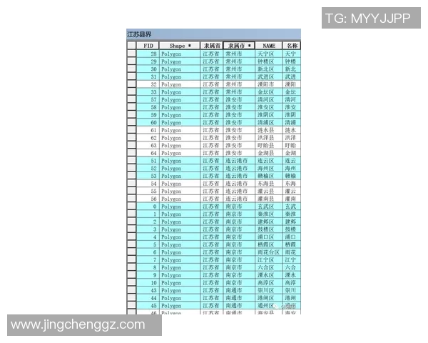 法国与阿根廷比赛开盘分析及投注建议详解